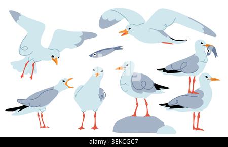 Collection d'illustrations de mouette mignonne dans un style cartoon plat Illustration de Vecteur