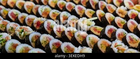 Rangées soigneusement disposées de rouleaux de sushi avec garnitures et garnitures colorées Banque D'Images