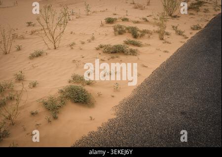 La California Highway 78, la Ben Hulse Highway, serpente à travers les Imperial Sand Dunes, ou Algodones Dunes, dans le sud-est de la Californie. ÉTATS-UNIS. Banque D'Images