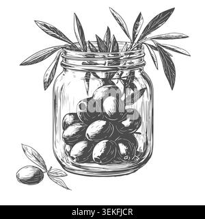 Olives dans un bocal en verre, un croquis dessiné à la main. Illustration vectorielle. Un pot d'olives avec une brindille élégante, isolé sur un fond blanc. Le thème de Cu Illustration de Vecteur