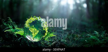 Jour de la Terre - laisse le globe de verre avec des continents verts sur Moss dans la forêt sombre défocalisée Banque D'Images