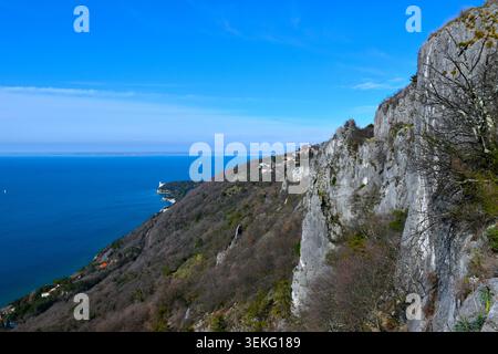 Falaise rocheuse et forêt au-dessus de la côte de la mer Adriatique près d'Opicina en Italie Banque D'Images