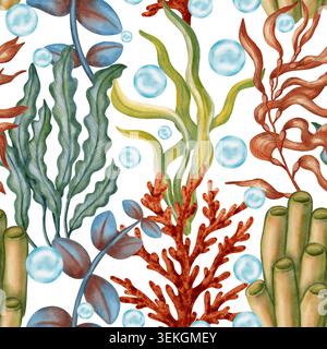 Motif aquarelle détaillé sans couture avec diverses plantes sous-marines, algues, coraux rouges, bulles bleues. Enfants, nautique, thèmes de voyage. Costume Banque D'Images