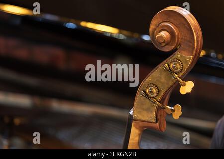 Vue rapprochée d'un défilement des basses doubles et d'engrenages de réglage en laiton, mettant en évidence le grain du bois, les cordes et l'éclairage chaleureux du concert. Évoque l'artisanat, classi Banque D'Images