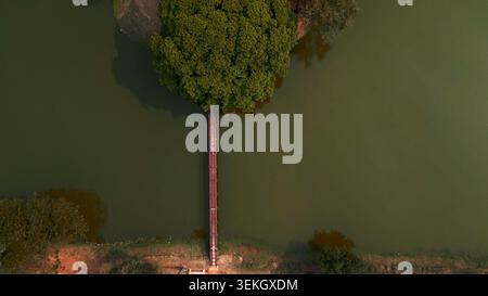 Pont en bois reliant la terre à un arbre insulaire vert, vue aérienne de haut en bas Banque D'Images