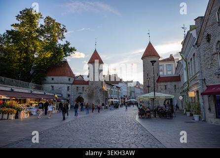 Une photo de la porte Viru à Tallinn. Banque D'Images