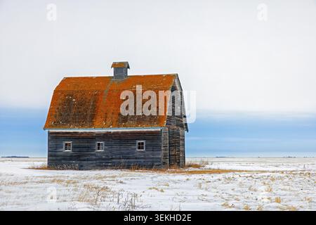 Ancienne grange en bois avec toit de gambrel sur prairie couverte de neige en hiver, Saskatchewan, Canada, Amérique du Nord Banque D'Images