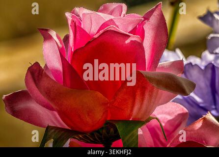 Une vue rapprochée d'une fleur d'intérieur artificielle Banque D'Images