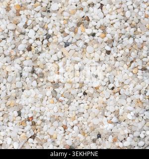 Plage de grains de riz en Sardaigne, Italie. Le sable de la plage est composé de petits galets de quartz blancs arrondis. Banque D'Images