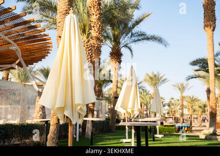 Des parasols fermés se dressent parmi les palmiers dattiers Phoenix dactylifera avec des tables et une pelouse verte dans un espace extérieur du complexe. Tourisme loisirs station de vacances Banque D'Images