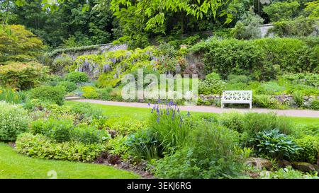 Jardin à l'anglaise en pleine floraison au printemps avec un banc en bois blanc et chemin de gravier wallington Hall jardin clos northumberland Banque D'Images
