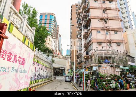 HONG KONG, CHINE, 21 avril 2026, une vue sur la rue près du jardin d'oiseaux de Yuen po Street montre des tours d'appartements résidentiels plus anciennes et des étals de magasins de fleurs locaux. Banque D'Images