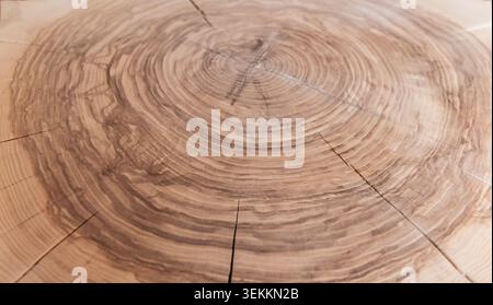 vue d'angle d'une surface réalisée à partir d'une bûche de bois coupée perpendiculairement puis vernie Banque D'Images