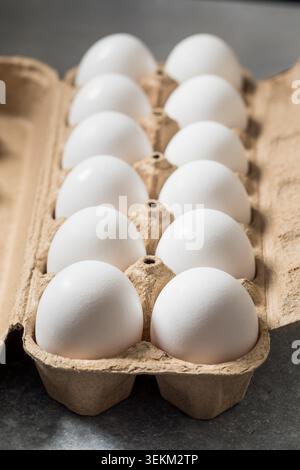 Oeufs de poulet blanc fermier bio dans un carton Banque D'Images