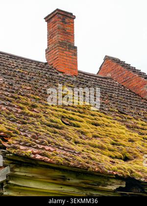 Gros plan du toit de tuiles d'argile recouvert de mousse avec des cheminées de briques sur la structure de bâtiment rural abandonnée Banque D'Images