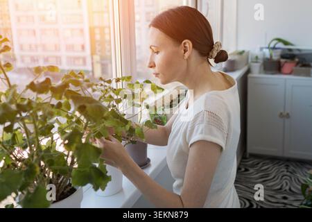 Jeune femme prenant soin de plantes d'intérieur sur le rebord de la fenêtre Banque D'Images