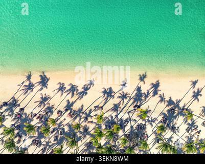 Vue aérienne de haut en bas d'une plage de sable tropical avec de longues ombres de palmiers et de l'eau turquoise limpide de l'océan, Punta Cana, République dominicaine Banque D'Images