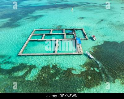 Vue aérienne d'une enclos de dauphins en pleine mer dans l'eau turquoise à Punta Cana République dominicaine Banque D'Images