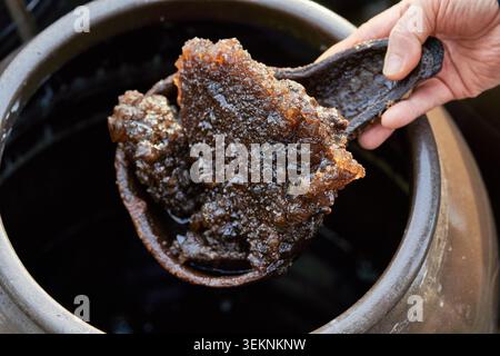 Une main tient le sel naturel et les cristaux d'acides aminés prélevés dans la sauce soja coréenne vieillie dans un pot en faïence, mettant en valeur la fermentation traditionnelle. Banque D'Images