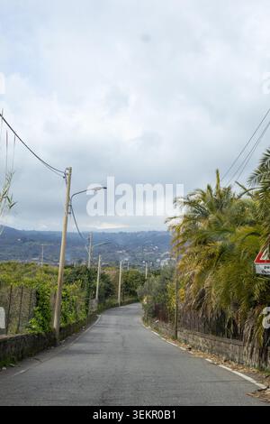 Une route sinueuse menant au vulcano Etna mène à travers une zone rurale bordée de palmiers, la Sicile. Les collines s'élèvent en arrière-plan sous un ciel nuageux. Peu signe Banque D'Images