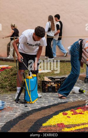 la Orotava, Tenerife, Espagne - 26 juin 2025. Beaux tapis de fleurs à la Orotava pendant le Corpus Christi. Célèbre événement religieux et compétition de f Banque D'Images