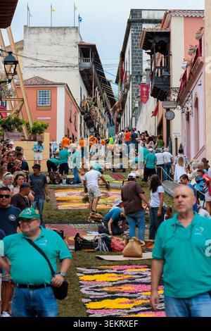 la Orotava, Tenerife, Espagne - 26 juin 2025. Beaux tapis de fleurs à la Orotava pendant le Corpus Christi. Célèbre événement religieux et compétition de f Banque D'Images