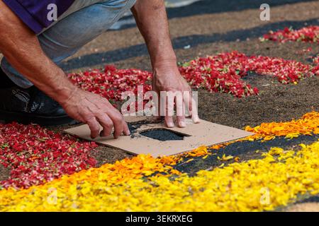 la Orotava, Tenerife, Espagne - 26 juin 2025. Beaux tapis de fleurs à la Orotava pendant le Corpus Christi. Célèbre événement religieux et compétition de f Banque D'Images