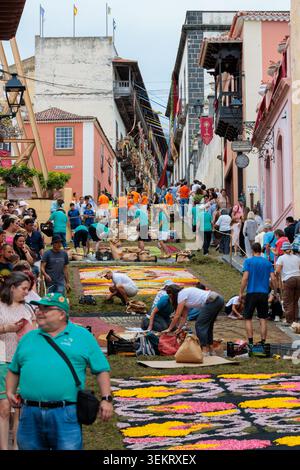 la Orotava, Tenerife, Espagne - 26 juin 2025. Beaux tapis de fleurs à la Orotava pendant le Corpus Christi. Célèbre événement religieux et compétition de f Banque D'Images