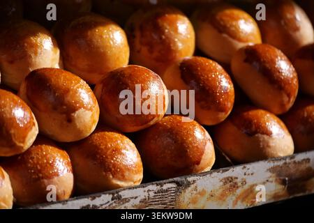 Produits fraîchement cuits dans un affichage chaleureux dans une boulangerie Banque D'Images
