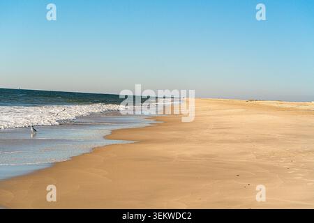Le sable doré rencontre de douces vagues sous un ciel bleu clair. La lumière du soleil jaillit sur les eaux calmes et ondulantes de l'océan. La plage vide invite à la réflexion tranquille ou aux loisirs Banque D'Images
