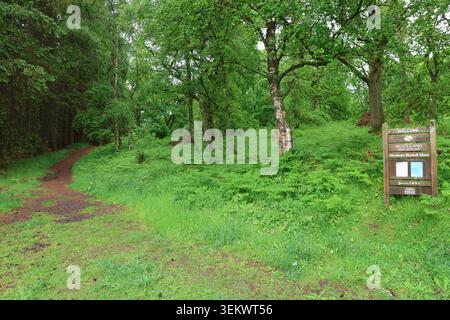 Signe de bienvenue pour Kinclaven Bluebell Wood Perthshire Scotland juin 2026 Banque D'Images