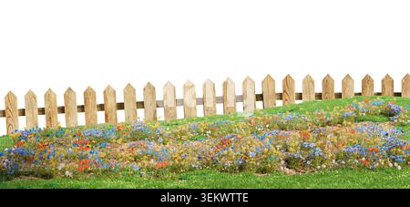 Prairie de fleurs sauvages avec clôture en bois sur fond blanc Banque D'Images