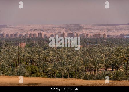 Paysage urbain du Caire derrière une oasis de palmiers dense dans le désert égyptien, bâtiments urbains devant des collines rocheuses lointaines et des sables arides. Banque D'Images