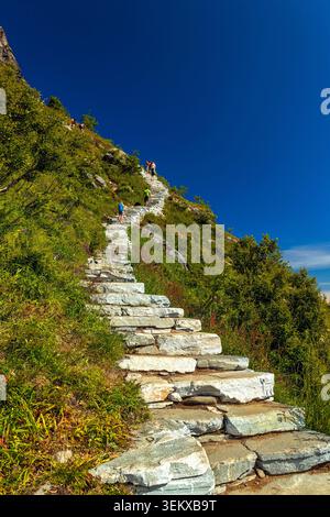 Reine, Norvège - 13.07.2020 : randonneurs marchant sur un sentier de pierre accidenté à travers une végétation alpine verte vibrante par une journée ensoleillée Banque D'Images