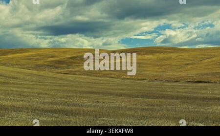 Pienza, Italie - 08.10.2021 : champs dorés ondulants étendus sous des nuages sombres et lourds lors d'un après-midi sombre en Toscane Banque D'Images