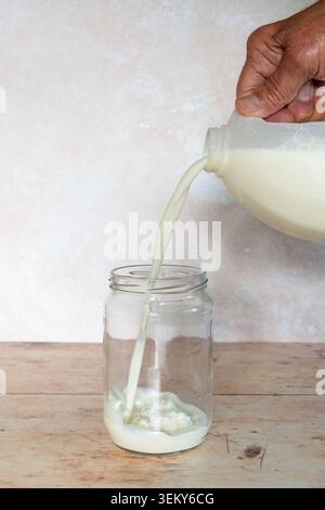 Lait laitier versé dans une bouteille en verre contenant des grains de kéfir vivants pour fermentation Banque D'Images