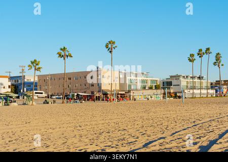 Venice Beach, Californie - 8 janvier 2026 : vue de Venice Beach, Californie, avec des palmiers bordant le rivage, des bâtiments en arrière-plan, et Banque D'Images