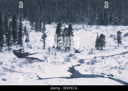 Scène hivernale de pays des merveilles montrant la rivière serpentant à travers un paysage enneigé avec une forêt de pins Banque D'Images
