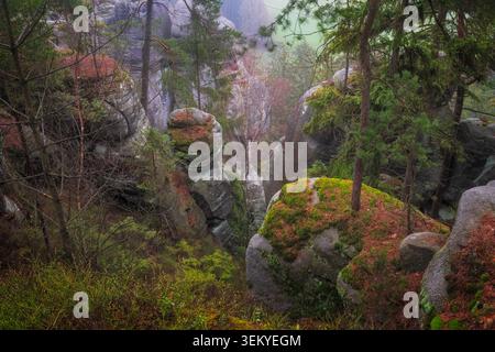 Paysage de Adršpach-Teplice Rocks avec formations de grès et forêt Banque D'Images