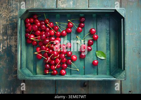 Pile de cerises douces mûres dans une boîte en bois rustique sur une table en bois bleu. Banque D'Images