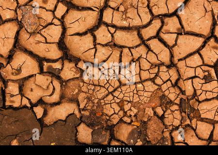 Terre fissurée. Un paysage aride avec des motifs de terre fissurée et sèche dans une teinte orange chaude Banque D'Images