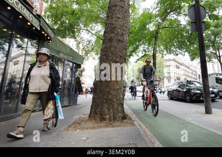 Promenez-vous à vélo le long d'une piste cyclable protégée dans une rue bordée d'arbres à Paris, en France, à côté d'un café et de piétons. Banque D'Images