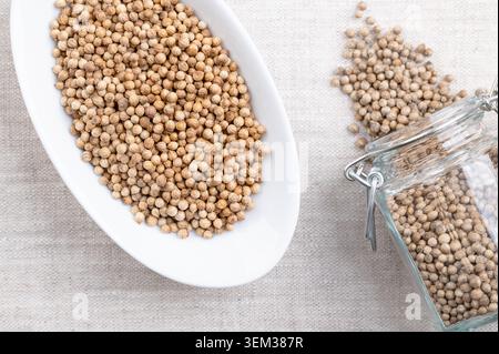 Graines de coriandre entières séchées dans un bol blanc sur lin. Fruits de Coriandrum sativum, utilisé comme épice, avec une saveur citronnée d'agrumes. Banque D'Images