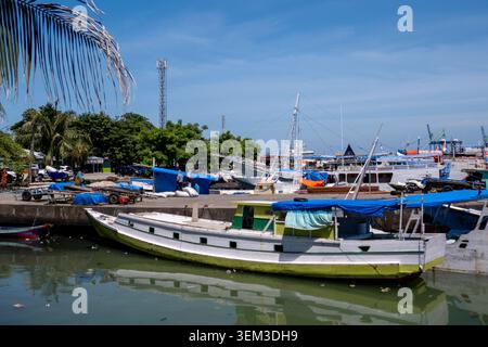 Makassar, Indonésie - 09 février 2024 : Bâteaux traditionnels amarrés au port de Paotere sous un ciel bleu clair, encadrés par une feuille de palmier au premier plan. Banque D'Images