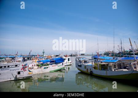 Makassar, Indonésie - 9 février 2024 : Des bateaux en bois traditionnels ancrés dans les eaux calmes du port de Paotere sous un ciel bleu éclatant. Banque D'Images