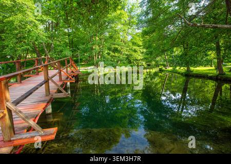 Passerelle en bois sur la rivière cristalline dans le parc naturel de Vrelo Bosne, Sarajevo, Bosnie-Herzégovine Banque D'Images