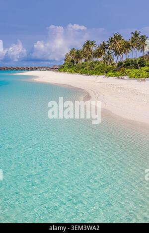 Plage d'une île tropicale avec une mer turquoise, un sable blanc et des palmiers verts. Ciel bleu ensoleillé, paradis. Vacances d'été, voyage, vacances, océan, décoration murale pittoresque Banque D'Images