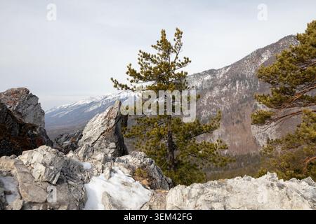 Itinéraire de randonnée pittoresque jusqu'au pic de l'amour près d'Arshan, République de Bouriatie, Russie, avec un pin solitaire sur les falaises rocheuses, les plaques de neige, et lointain mont Sayan Banque D'Images