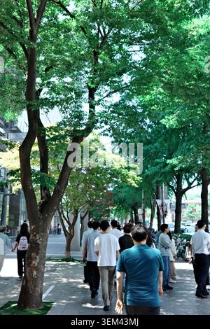 Piétons marchant le long d'un trottoir bordé d'arbres sous une verdure luxuriante canopée un jour d'été, Gwanghwamun, Séoul, Corée du Sud. Banque D'Images