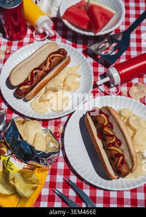 Barbecue estival classique avec hot-dogs grillés, frites et pastèque. Banque D'Images